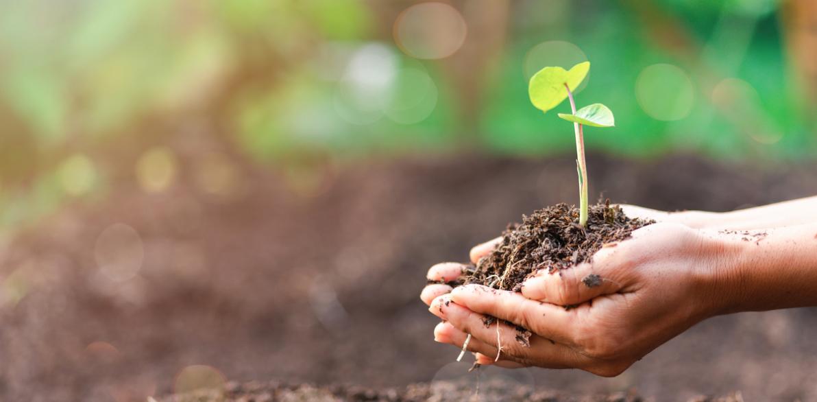 TCFD・TNFD提言への対応