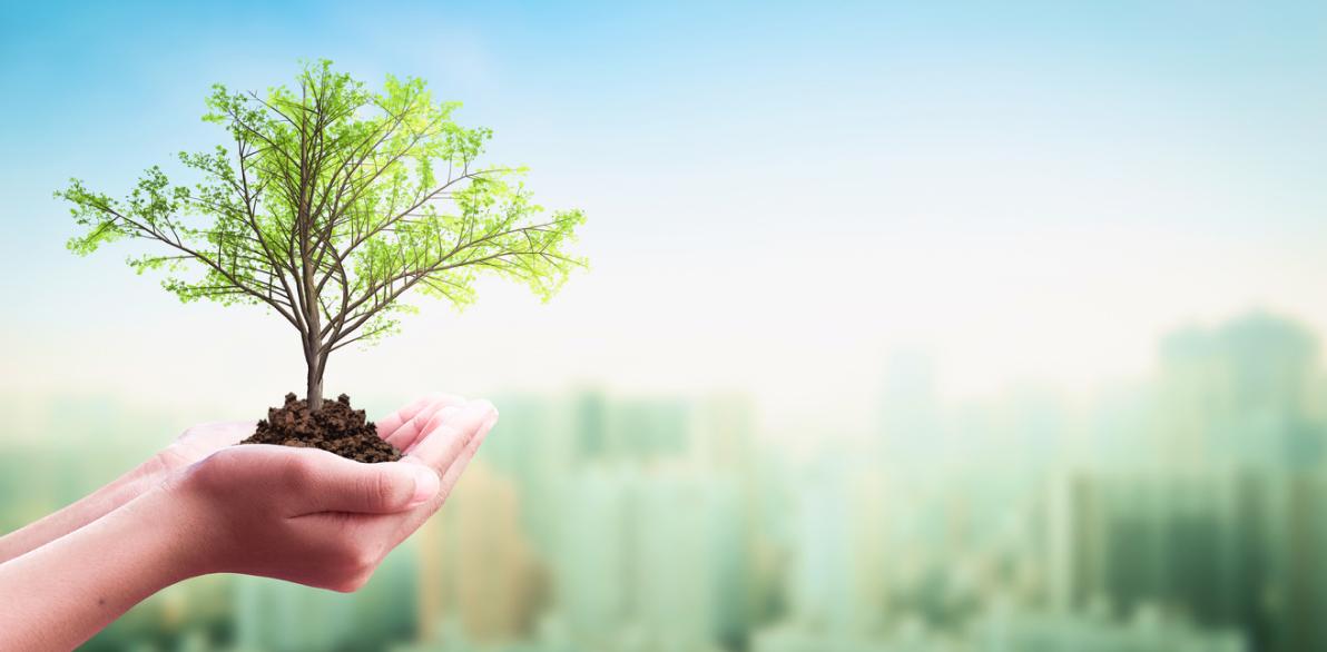 推進方針・考え方