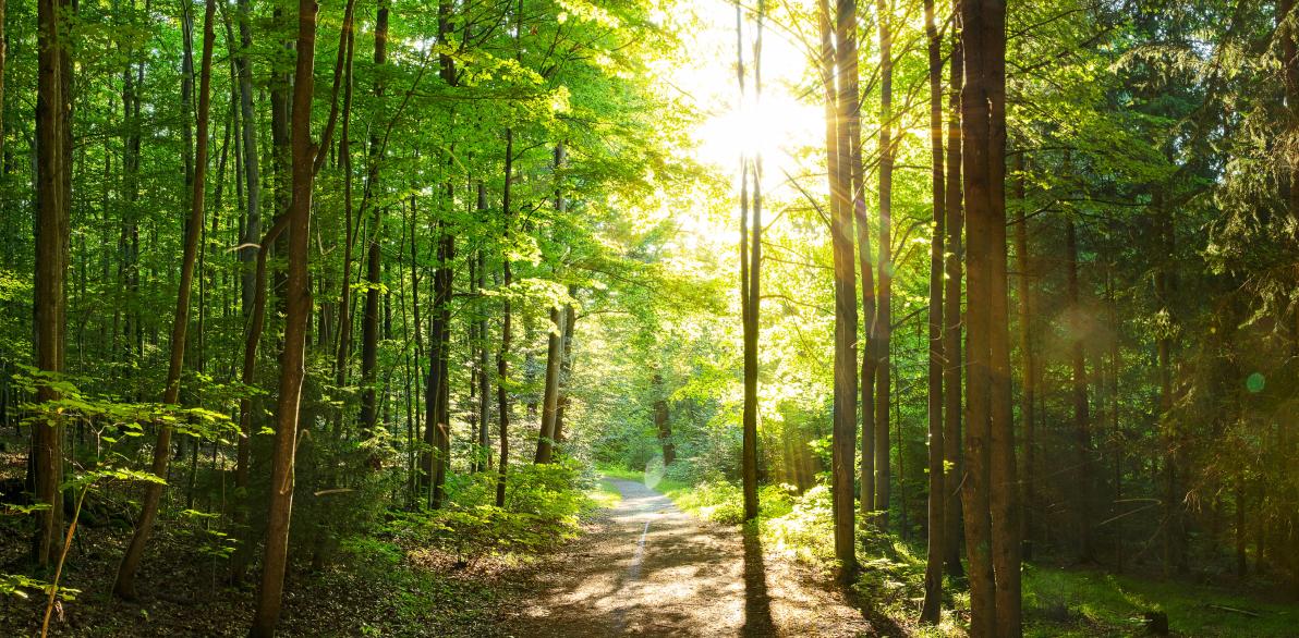 生物多様性保全への対応