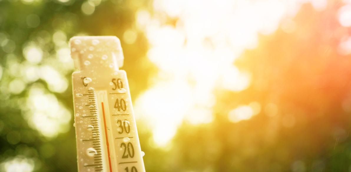 気候変動に関する取り組み