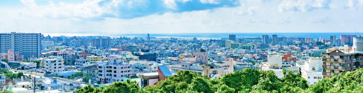 地域社会の発展・活性化の取り組み