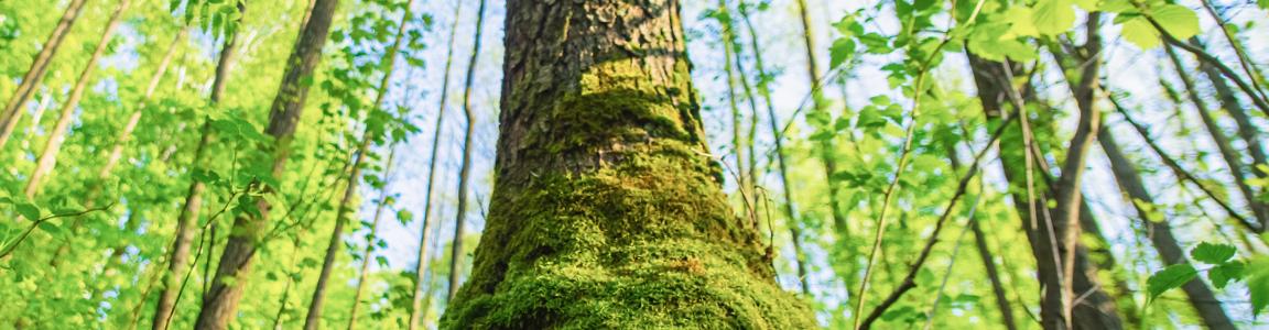 汚染防止と資源循環に関する目標と実績等