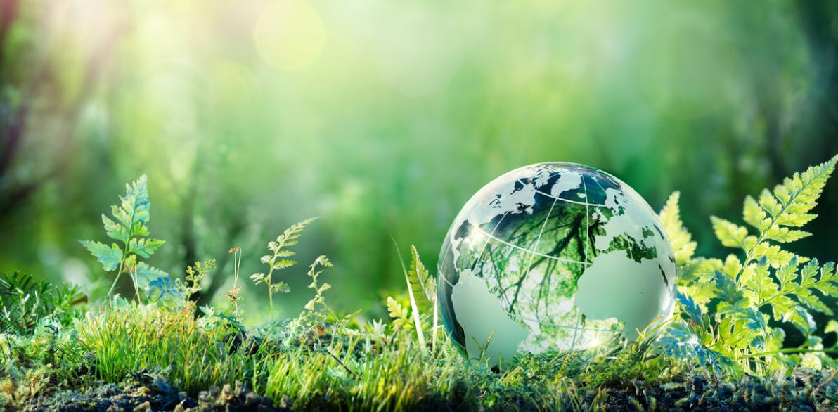 環境マネジメントシステム