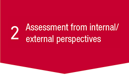 2 Assessment from internal/external perspectives