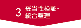 3 妥当性検証・統合整理